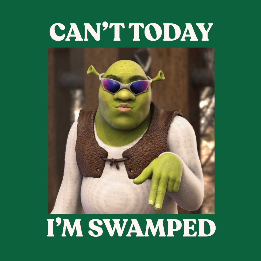 Im Swamped Loose Cotton Tee
