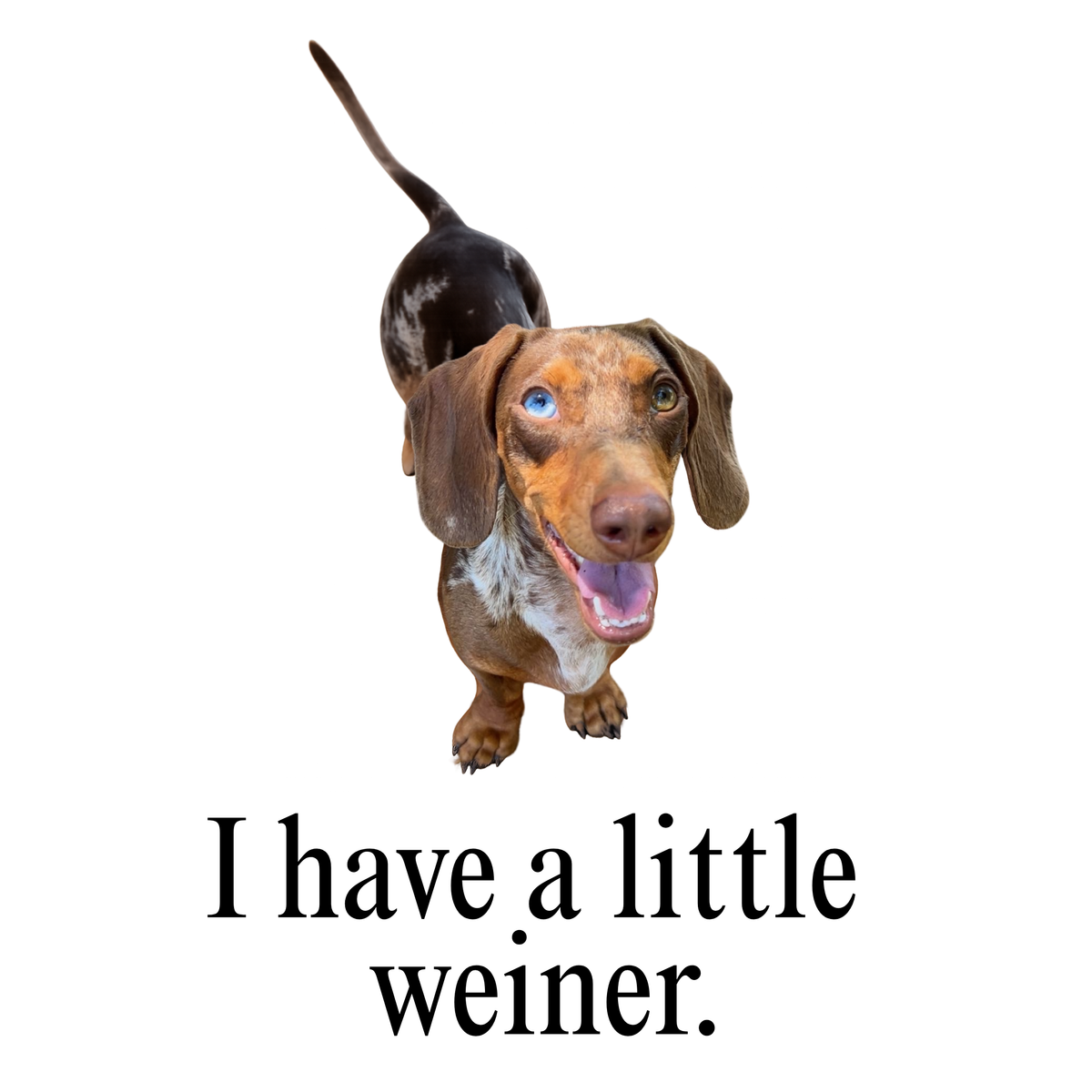 Little Weiner Loose Cotton Tee